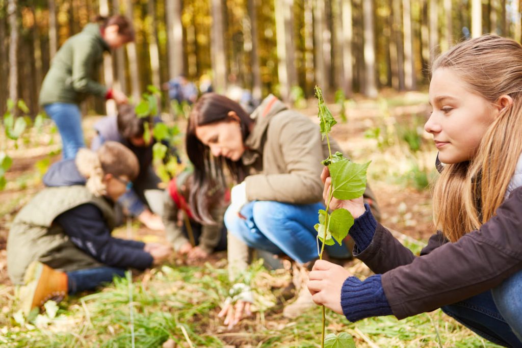 Leitfaden für Familien: Was Kinder gegen den Klimawandel tun können
