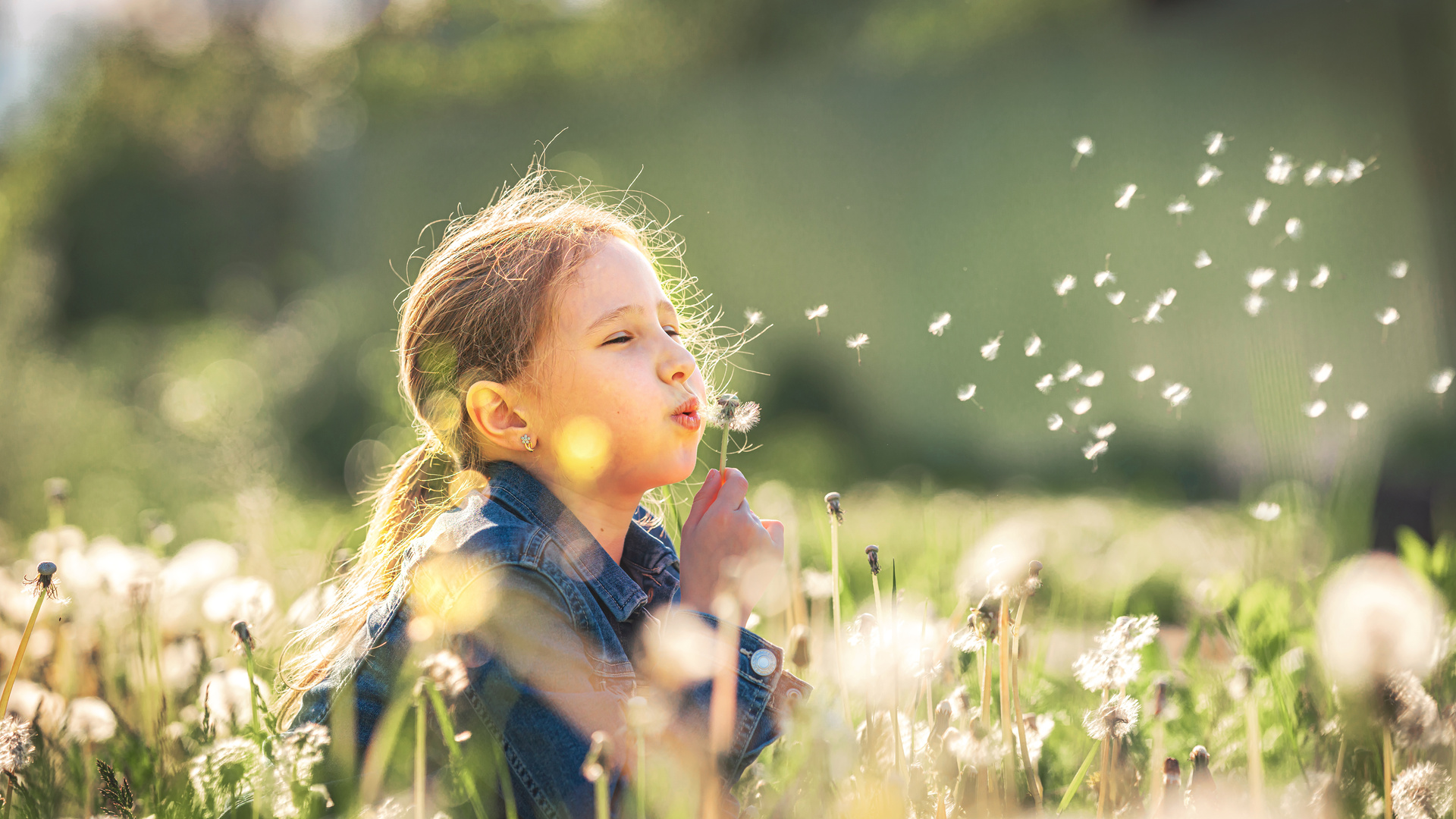 Ein Mädchen pustet eine Pusteblume in einem Feld.