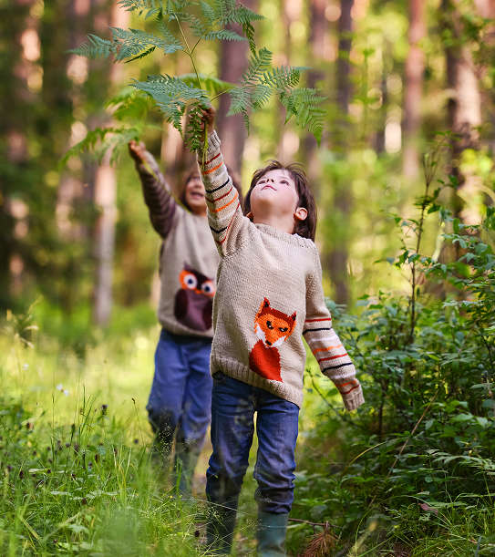 Zwei Kinder gehen durch den Wald und greifen nach den Ästen von Bäumen.