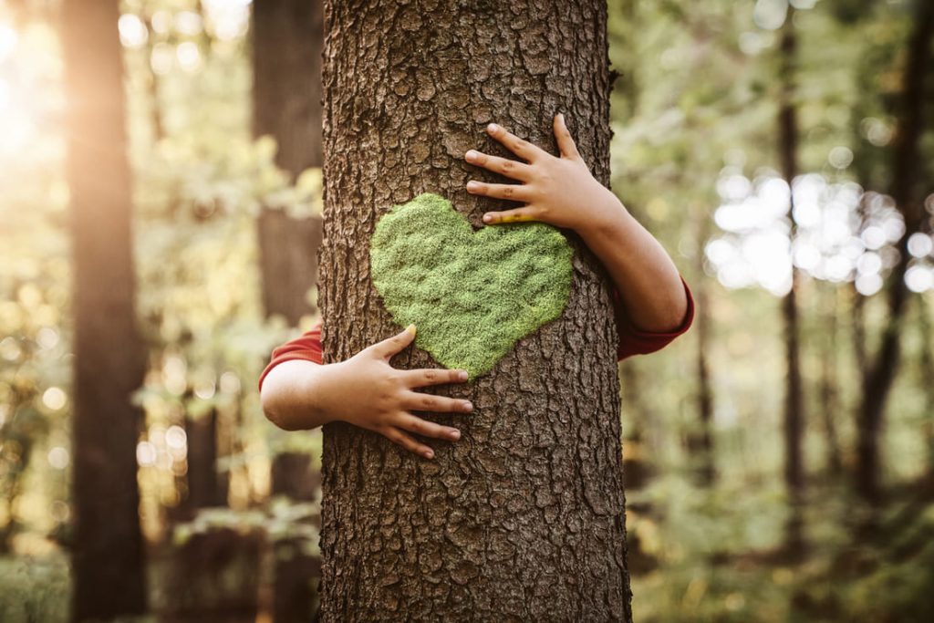 Entspannung in der Natur