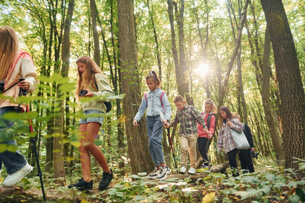 Kinder gehen auf einem Pfad im Wald.