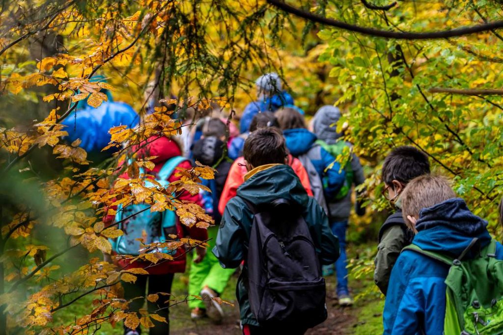 Eine nachhaltige Klassenfahrt planen: Leitfaden und Checkliste