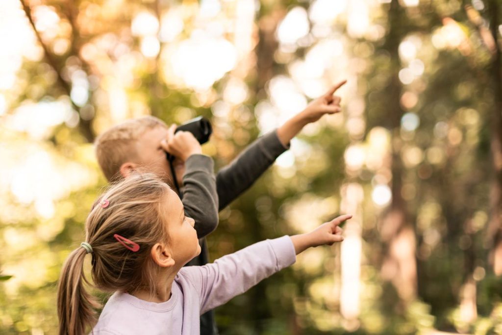 SDG-Würfel für Kinder: Die 17 Nachhaltigkeitsziele spielerisch entdecken