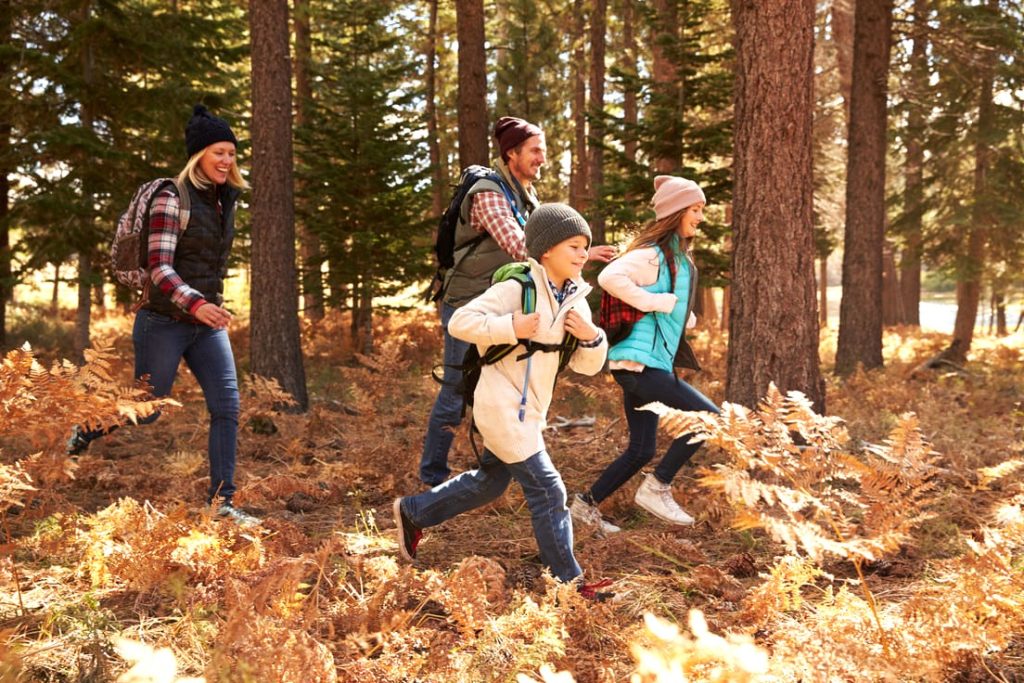 Familie Waldspaziergang